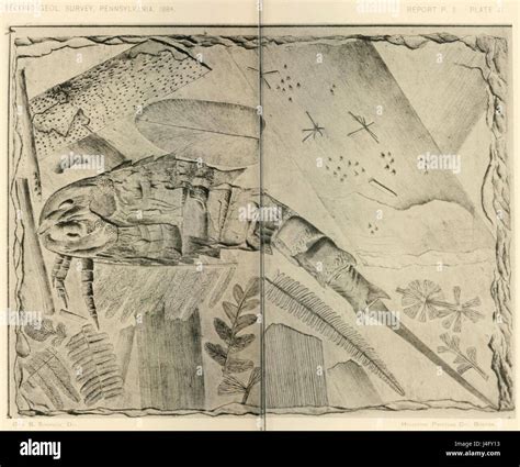 Second Geological Survey of Pennsylvania Report of Progress PPP plate 6 ...