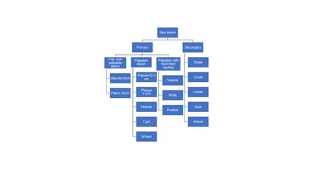 Image result for Rash Algorithm
