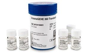 Transfektion & Geneditierung