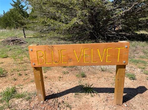 ALL IS WELL RESORT (Capps Corner) - Campground Reviews, Photos, Rate ...