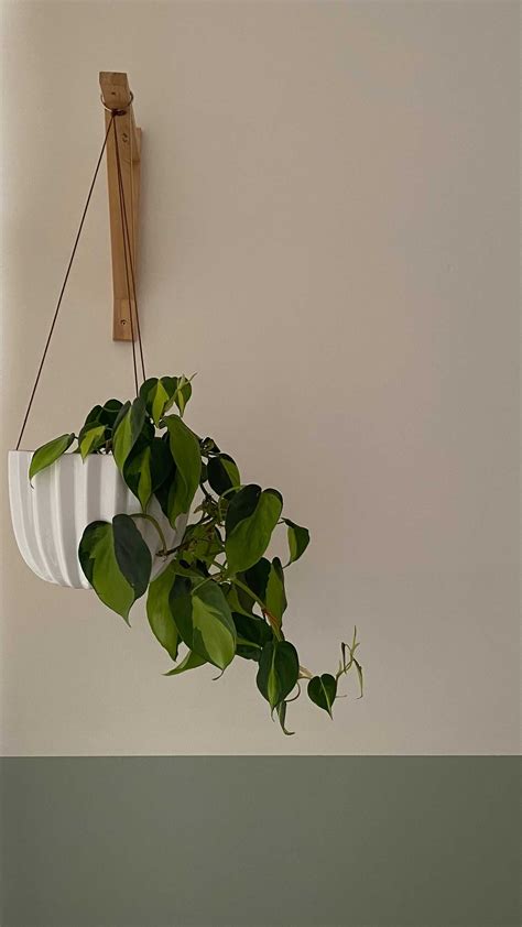 Inhalation 的图像结果