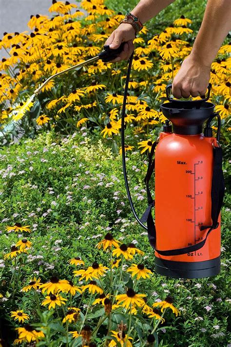Seesa Hand Pressure Compressed Air Garden Sprayer (Orange, 5 L ...