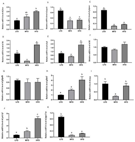 Functions of Forkhead Box O on Glucose Metabolism in Abalone Haliotis ...