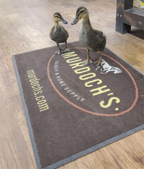 MURDOCH'S RANCH & HOME SUPPLY - Cheyenne WY - Hours, Directions ...