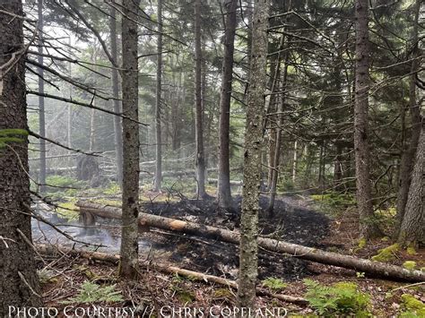 Annapolis County firefighter spots woods fire in the nick of time - The ...