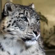 Humid Place Example 的图像结果