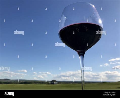 Large wine glass hi-res stock photography and images - Alamy