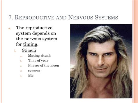 Body System Interaction Chart 的图像结果