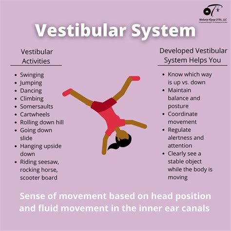Physical Therapy Vestibular Certification - astra.edu.pl