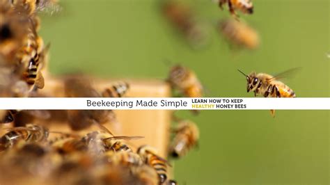 Beekeeping Tutorial 的图像结果