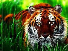 Digital Tiger Wallpaper by Tiger 3d Computer Digital Hd Wallpaper 2560x1440 Digital Tiger Wallpaper