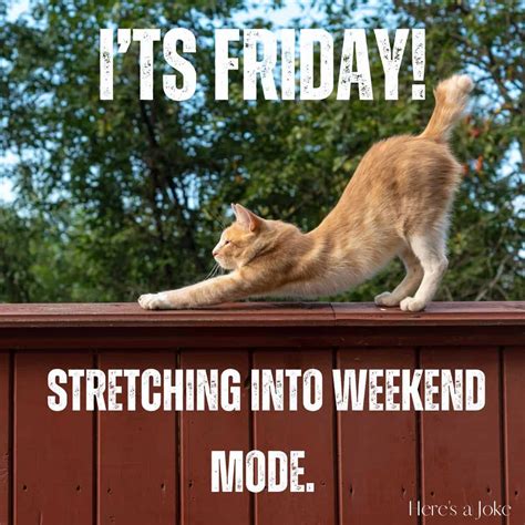 75 Funny Friday Jokes (and memes) - Here's a Joke