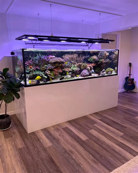 Why Is My Fish Tank Cloudy?