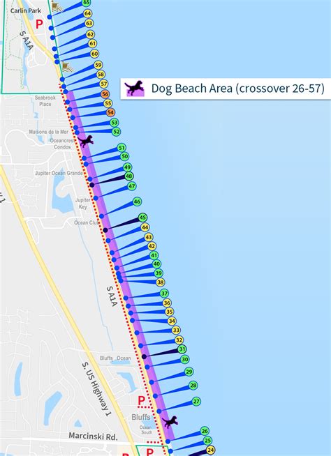 Dog Friendly Beaches In Florida THE EMERALD COAST, FL DOG FRIENDLY