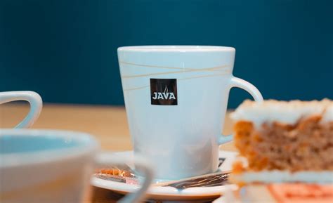 Image result for Java Programming Language Books