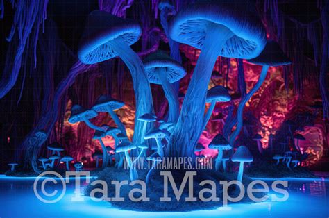 Alien and Alice 的图像结果