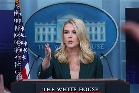 Karoline Leavitt Dress