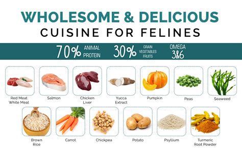 Image result for Bee Splits in Spring