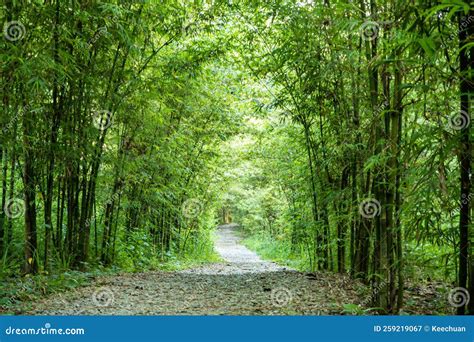 Walk Path 的图像结果