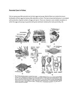 Neurulation - Introduction, tubulation and neurula and types ...