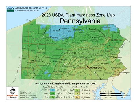 Hydroseeding in New Eagle, PA – Complete Guide