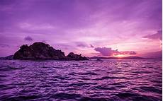 Backgrounds For by Sunset Pelican Island Sea Wallpapers Hd Desktop And Backgrounds For