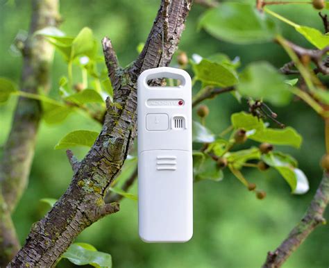 Which Alexa Devices Have A Temperature Sensor | Storables