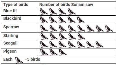 DIRECTION: Sonam went to a bird sanctuary and saw the different types ...