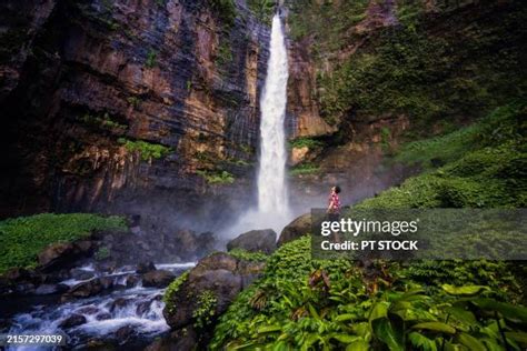 Image result for Eastern Java Bali Rain Forest