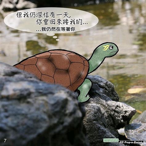 一只乌龟的自述 - 哔哩哔哩