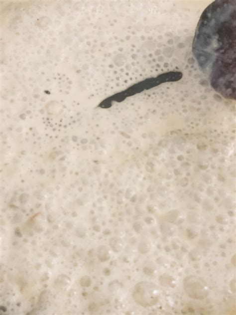 Chicken Wellington - The Dizzy Cook