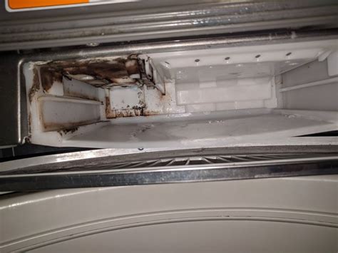 Image result for LG Washing Machine Leaking From Back