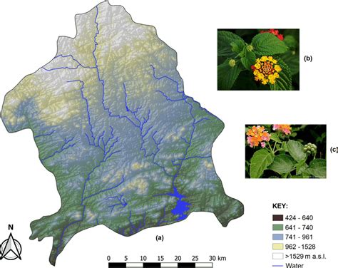 Local Scale Map 的图像结果