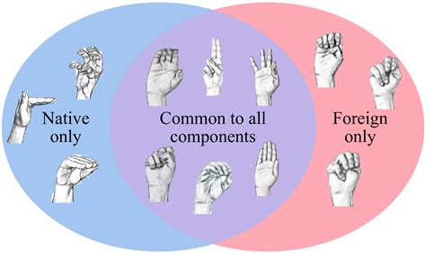 American Hand Sign Language 的图像结果
