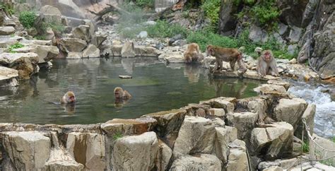 THE 30 BEST Places to Visit in Yamanouchi-machi (2026)