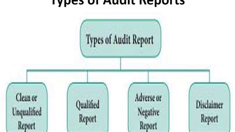Audit Types 的图像结果