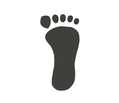 Image result for Body Control Module Function