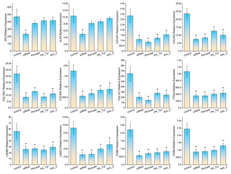 African Swine Fever Virus R238L and R298L Disrupt Lung Cell Collagen ...