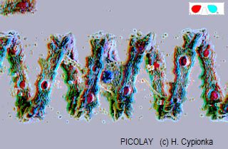 Image result for Picolay Tutorial