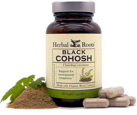 The 6 Best Black Cohosh Supplements