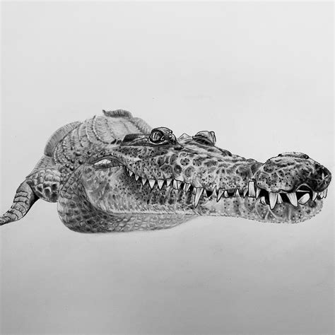 Image result for Variable Undefined JavaScript