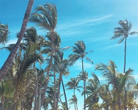 HOTEL RIU BAMBU (Punta Cana) - All-inclusive Resort Reviews, Photos ...