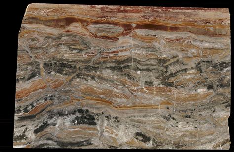 Buy arabescato orobico marble | Grey color marble for floor & wall | Nitco