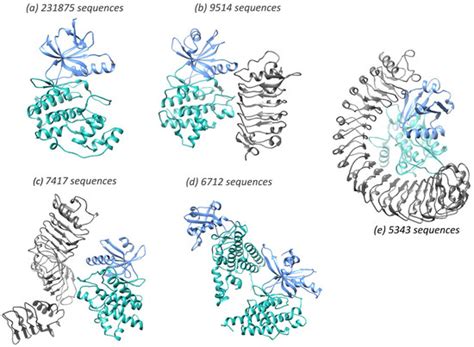 KinFams: De-Novo Classification of Protein Kinases Using CATH ...