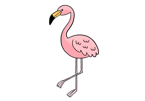 How To Draw Flamingo Legs