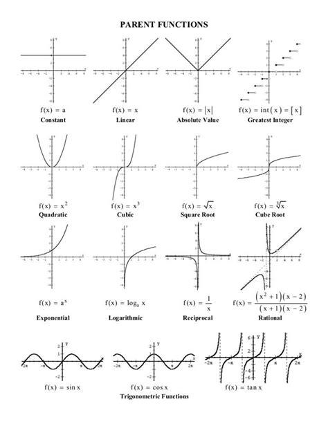 Graphs of Different Types of Functions Maths 的图像结果