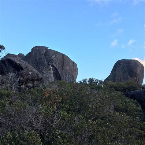 MONKEY ROCK (2025) All You Need to Know BEFORE You Go (with Photos ...
