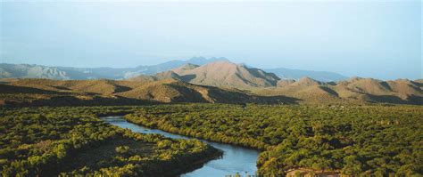 Download wallpaper 2560x1080 hills, river, trees, plants, distance dual ...