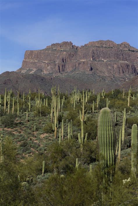 Hikes in the Superstition Mountains (& a DOWNLOADABLE GUIDE!)