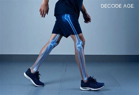 The Impact of Ageing on Bones and Muscles: Insights into Joint Care